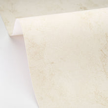 Charger l'image dans la galerie, UNI METALLISE LA CHAUX