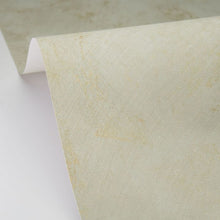 Charger l'image dans la galerie, UNI METALLISE LA CHAUX