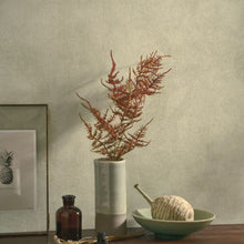 Charger l'image dans la galerie, MASAYA