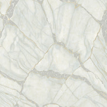 Load image into Gallery viewer, MARBLE PHILIPP PLEIN 2