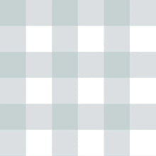Carregar imagem no visualizador da galeria, CLASSIC CHECK
