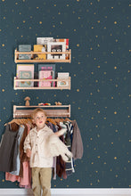 Load image into Gallery viewer, STAR LD