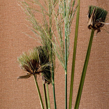 Cargar imagen en el visor de la galería, LIN