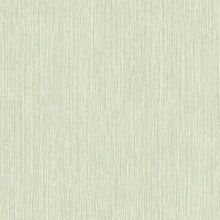 Carregar imagem no visualizador da galeria, BLZ