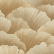 Carregar imagem no visualizador da galeria, BELIZE