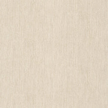 Load image into Gallery viewer, LISO BLZ