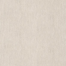 Load image into Gallery viewer, LISO BLZ