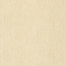 Load image into Gallery viewer, LISO BLZ