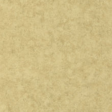 Load image into Gallery viewer, BETON UNI