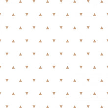 Charger l'image dans la galerie, NOTRE PLANÈTE LE TRIANGLE DES BERMUDES