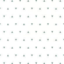 Charger l'image dans la galerie, NOTRE PLANÈTE LE TRIANGLE DES BERMUDES