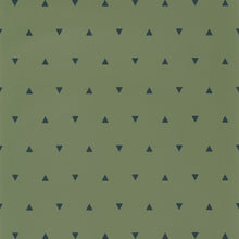 Charger l'image dans la galerie, NOTRE PLANÈTE LE TRIANGLE DES BERMUDES