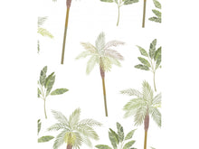 Load image into Gallery viewer, PALMEIRAS INFANTIS