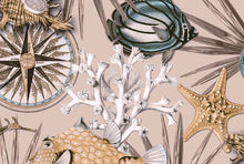 Load image into Gallery viewer, REEF