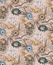 Load image into Gallery viewer, REEF