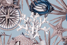 Load image into Gallery viewer, REEF