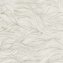 Cargar imagen en el visor de la galería, EL CALAMAR