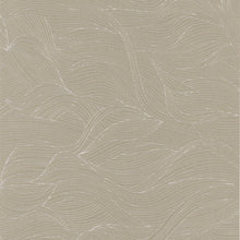 Cargar imagen en el visor de la galería, EL CALAMAR