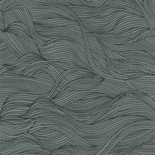 Cargar imagen en el visor de la galería, EL CALAMAR