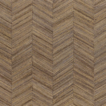 Lade das Bild in den Galerie-Viewer, OCOTEA