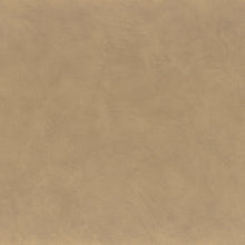 Load image into Gallery viewer, ARGILE