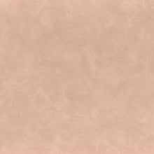 Load image into Gallery viewer, ARGILE