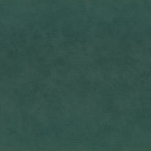 Load image into Gallery viewer, ARGILE