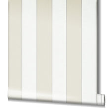 Load image into Gallery viewer, PIGMENTS