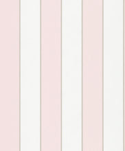 Load image into Gallery viewer, PIGMENTS