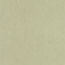 Lade das Bild in den Galerie-Viewer, ALGODÃO