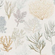 Load image into Gallery viewer, SEACRET SPOT