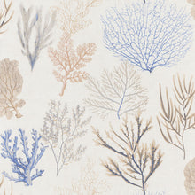 Load image into Gallery viewer, SEACRET SPOT