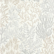 Load image into Gallery viewer, RECIF