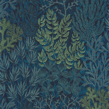 Load image into Gallery viewer, RECIF