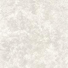 Load image into Gallery viewer, CANOPEE