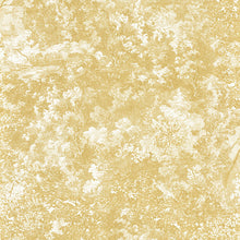 Load image into Gallery viewer, CANOPEE