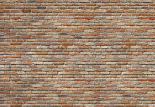 Lade das Bild in den Galerie-Viewer, BACKSTEIN