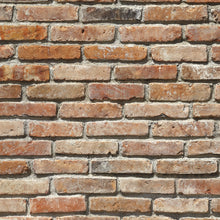 Lade das Bild in den Galerie-Viewer, BACKSTEIN