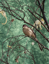 Carregar imagem no visualizador da galeria, JARDIN DES MERVEILLES