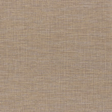 Lade das Bild in den Galerie-Viewer, SHINOK