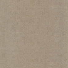 Load image into Gallery viewer, RHODIUM