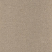 Load image into Gallery viewer, RHODIUM