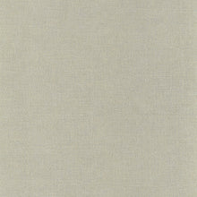 Load image into Gallery viewer, RHODIUM