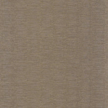 Charger l'image dans la galerie, PLATINE