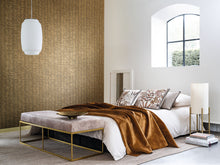 Load image into Gallery viewer, SCANDIUM