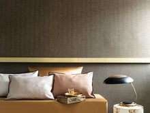 Charger l'image dans la galerie, PLATINE