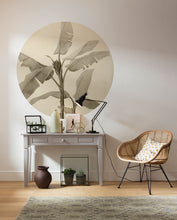 Charger l'image dans la galerie, PLANT DE BANANIER