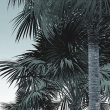 Load image into Gallery viewer, GUANABARA