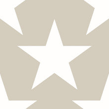 Load image into Gallery viewer, SUPER STAR