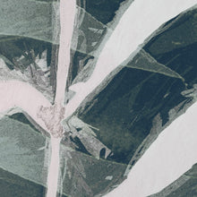 Load image into Gallery viewer, PALMIERS TROPICAUX